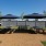 Onsite Dog Park with Shaded Areas
